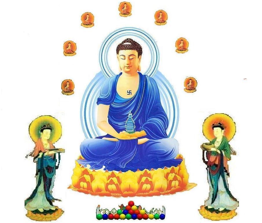 Thất Phật Dược Sư | Thư Viện Namo84000